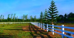 ที่ดินเปล่าแบ่งขาย หนองหญ้าปล้อง เพชรบุรี