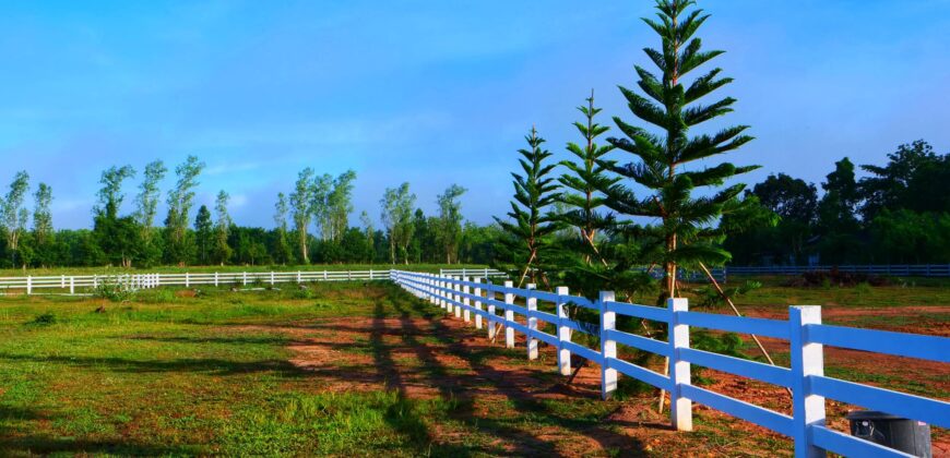 ที่ดินเปล่าแบ่งขาย หนองหญ้าปล้อง เพชรบุรี