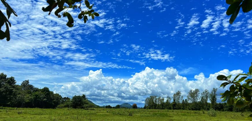 ที่ดินหนองหญ้าปล้อง 700,000 บาท สองแปลงเท่านั้น