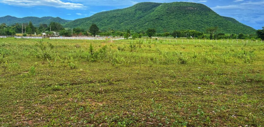 ที่ดินหนองหญ้าปล้อง 700,000 บาท สองแปลงเท่านั้น