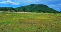 ที่ดินหนองหญ้าปล้อง 700,000 บาท สองแปลงเท่านั้น