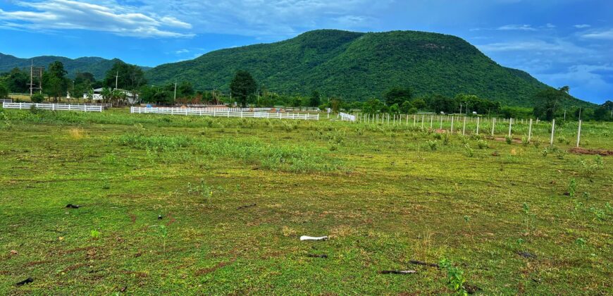 ที่ดินหนองหญ้าปล้อง 700,000 บาท สองแปลงเท่านั้น