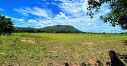 ที่ดินหนองหญ้าปล้อง 700,000 บาท สองแปลงเท่านั้น