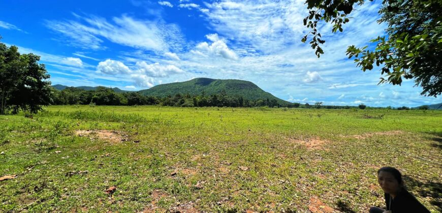 ที่ดินหนองหญ้าปล้อง 700,000 บาท สองแปลงเท่านั้น