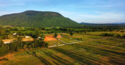 ที่ดินเปล่าแบ่งขาย หนองหญ้าปล้อง เพชรบุรี