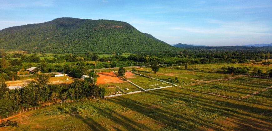 ที่ดินเปล่าแบ่งขาย หนองหญ้าปล้อง เพชรบุรี