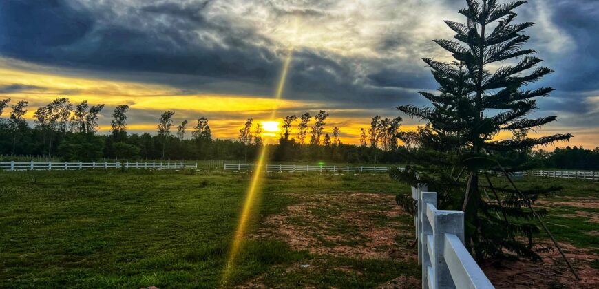 ที่ดินเปล่าแบ่งขาย หนองหญ้าปล้อง เพชรบุรี
