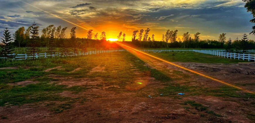 ที่ดินเปล่าแบ่งขาย หนองหญ้าปล้อง เพชรบุรี